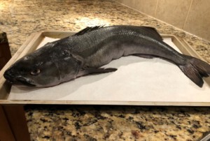 Whole Sablefish (black cod)